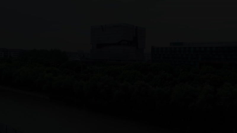 sample video